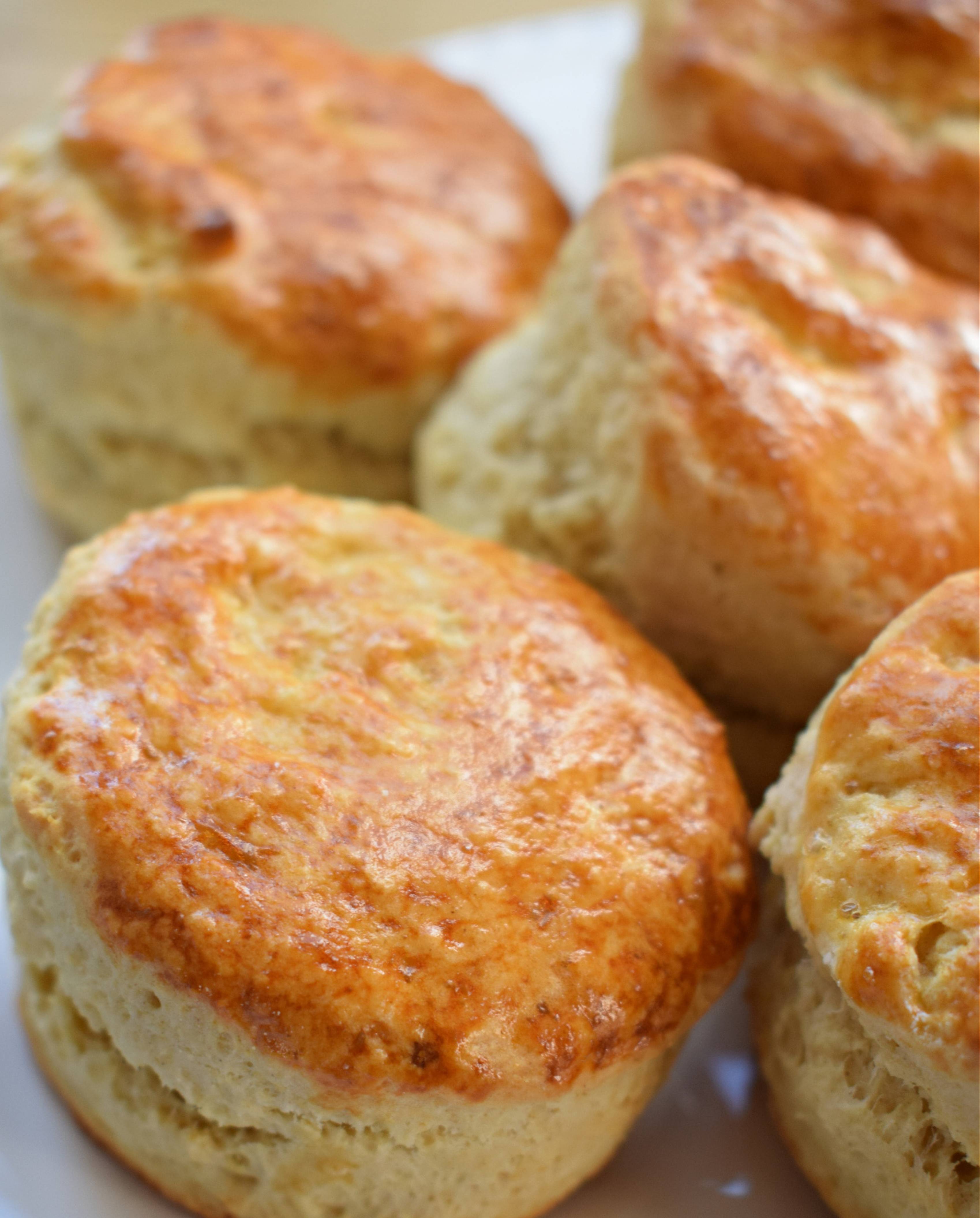 Sconesimage